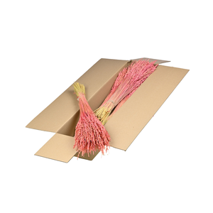 Rice Sb Pink