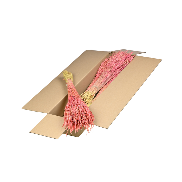 <h4>Rice Sb Pink</h4>