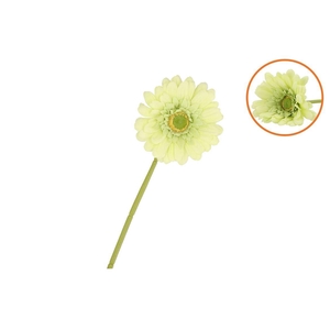 Silk Gerbera Light Green 72cm