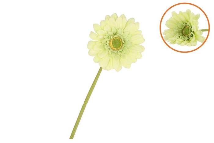 <h4>Silk Gerbera Light Green 72cm</h4>