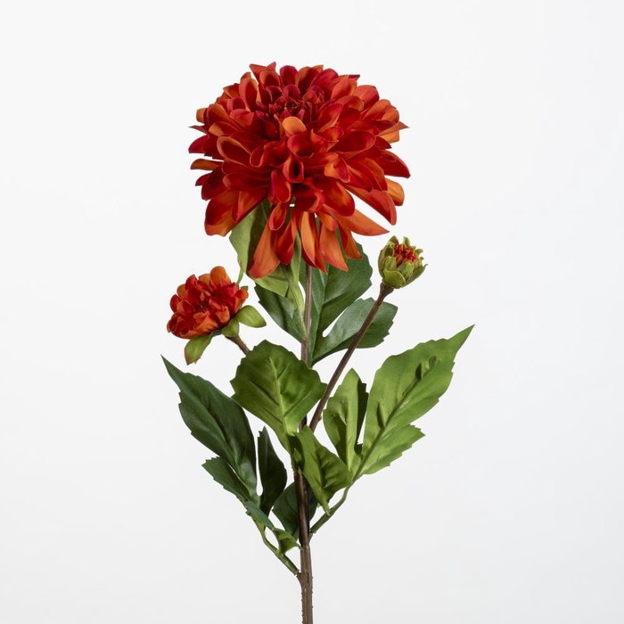 <h4>AF Dahlia Pompon x3 L63cm or</h4>