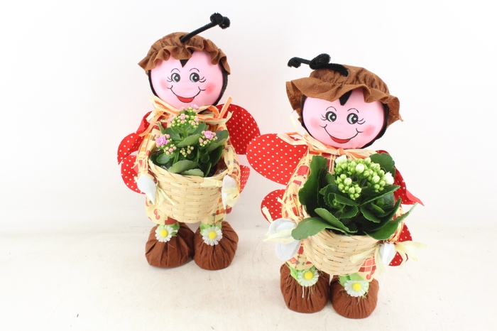 <h4>arr2 TD - Lieveheersbeestje - roze/wit</h4>