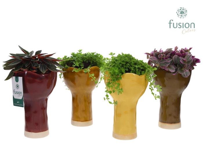 <h4>Keramiek vaas met groenen planten</h4>