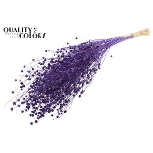 Lino Vlas per bunch in poly Intense Purple
