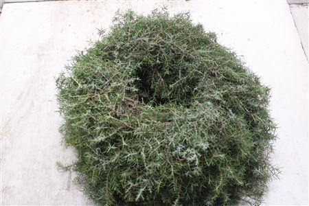 <h4>Krans Jeneverbes 45 Cm</h4>