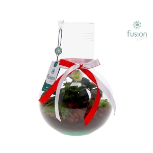 Green Bottle Suzanne Medium met Helleborus