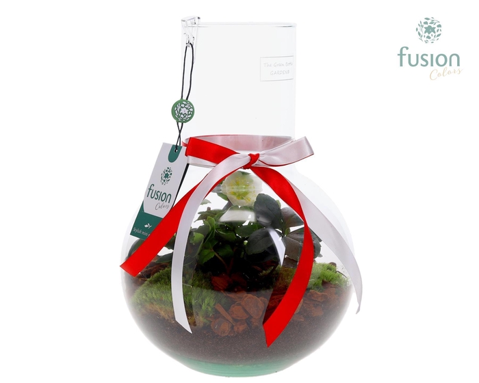 <h4>Green Bottle Suzanne Medium met Helleborus</h4>