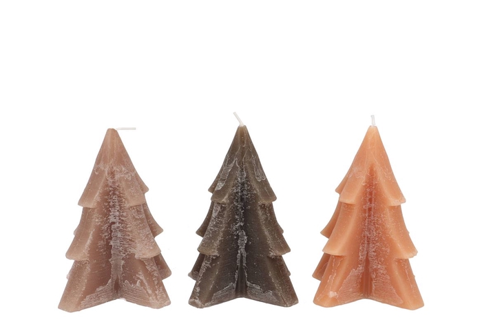 <h4>Candle Frosty Pine Tree Woods Brown Mix 9x12cm Ass</h4>