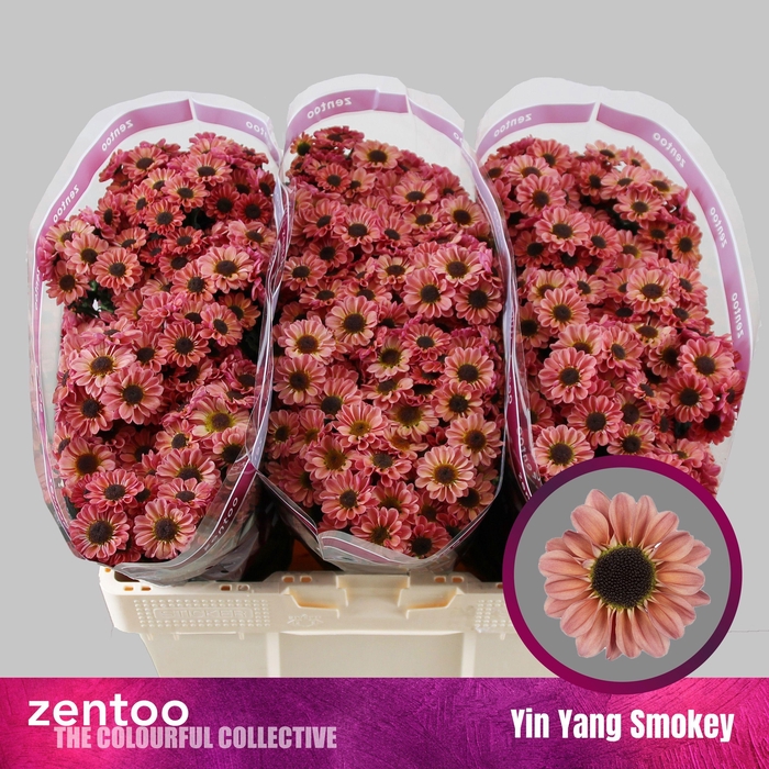<h4>CHR S YIN YANG SMOKE</h4>