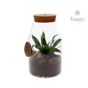Terrarium met kurk voorzien van LED verlichting
