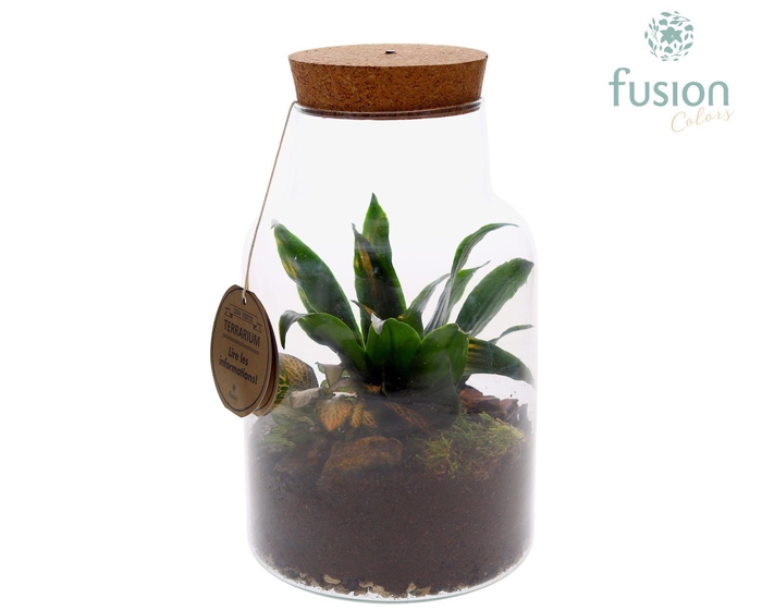 <h4>Terrarium met kurk voorzien van LED verlichting</h4>