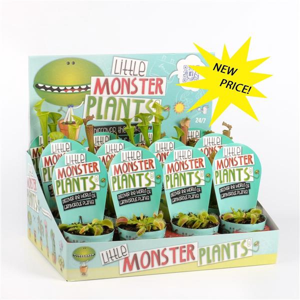 <h4>Little Monster Plants in Dislaydoos</h4>