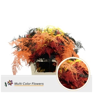 Leaf asparagus paint autumn mix