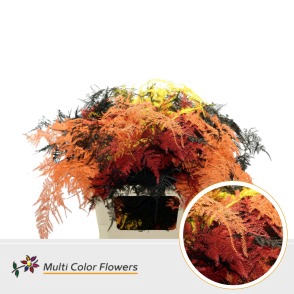 <h4>Leaf asparagus paint autumn mix</h4>
