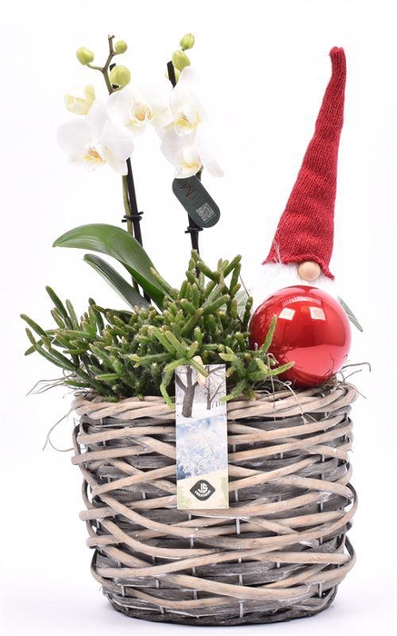 <h4>Wilg mand grijs 18cm</h4>