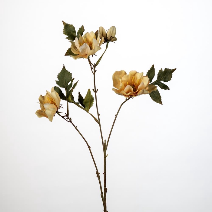 <h4>AF Helleborus x4 L79cm L. ye</h4>