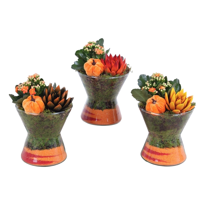 <h4>Arr.    Planten  L%</h4>