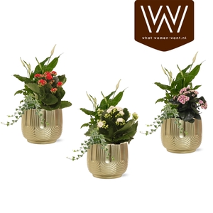 Collectie 'Top Blend' - Arrangementen in keramiek Maud