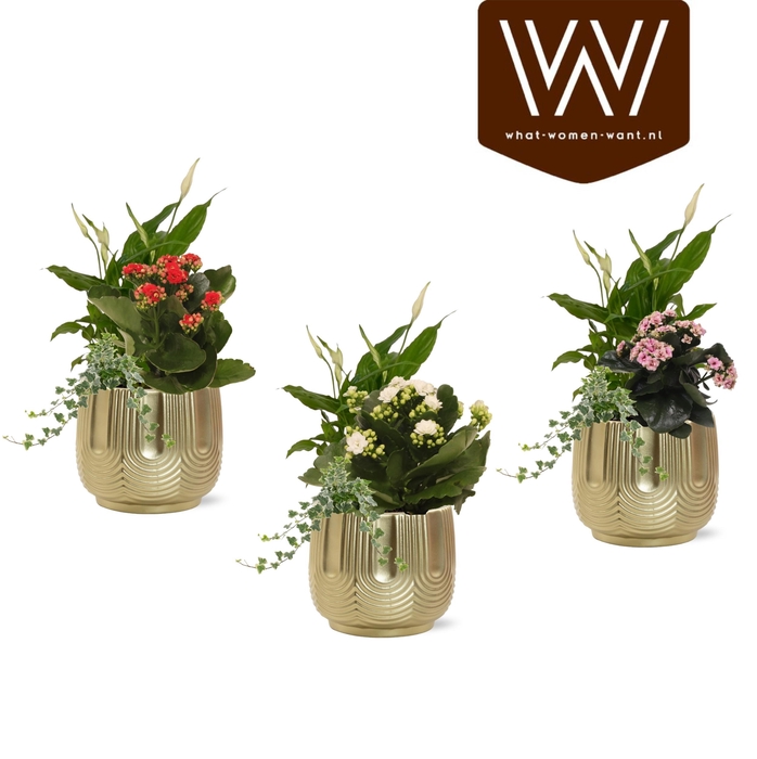 <h4>Collectie 'Top Blend' - Arrangementen in keramiek Maud</h4>