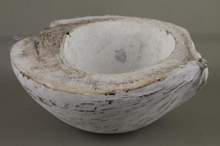 <h4>Coconut Half Whitewash</h4>