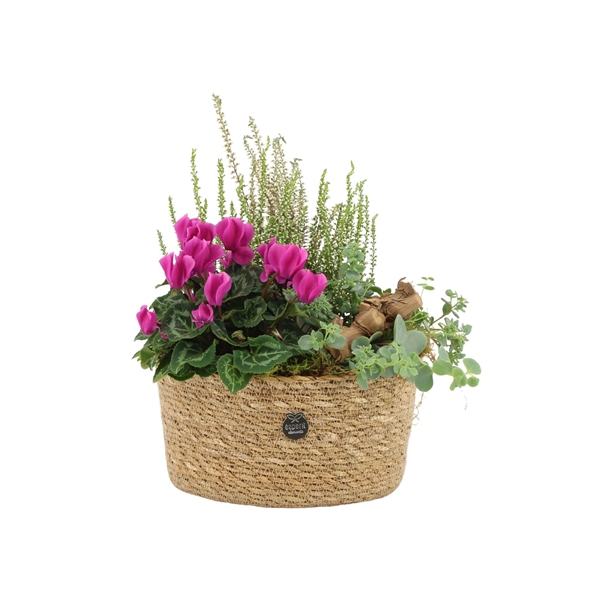 <h4>41467: Autumn Outdoor arrangement</h4>