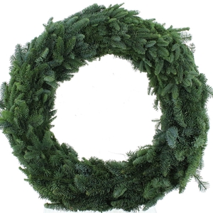 Krans Nobilis Half Gebonden 90cm