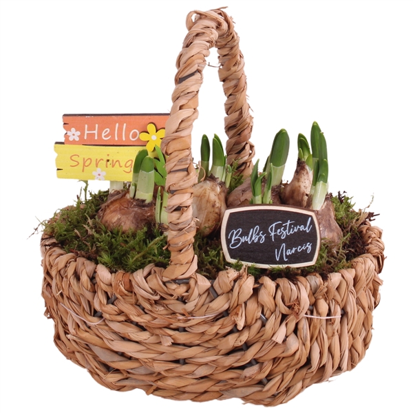 <h4>Bulbs Arr. Narcis Waterhyacint Handle Basket Ø21cm</h4>