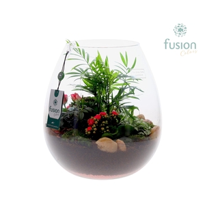 Green Bottle Abby XLarge Love met arrangement