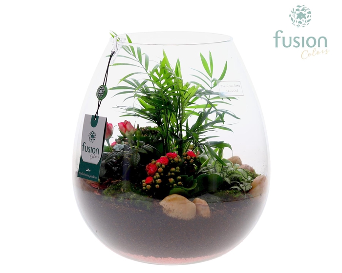 <h4>Green Bottle Abby XLarge Love met arrangement</h4>