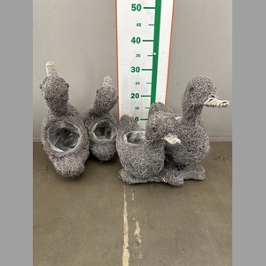 WILLOW DUCK TWINS H35XD30