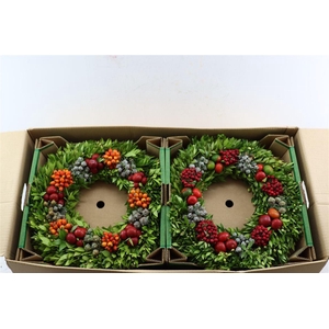 Wr Sierfruit 40cm (anttar)