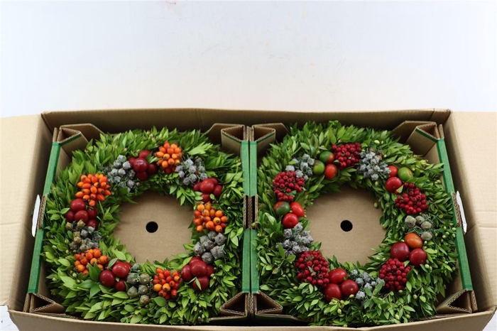 <h4>Wr Sierfruit 40cm (anttar)</h4>