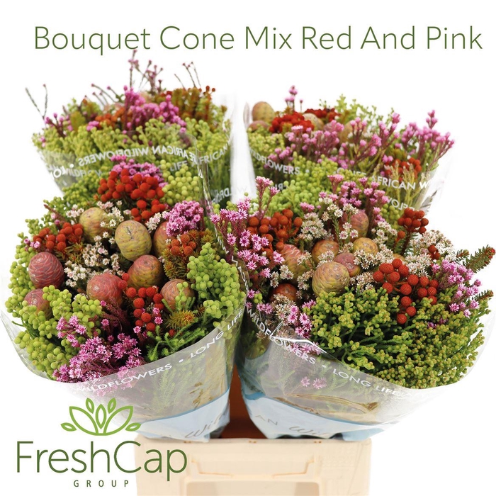 <h4>Bouquet Cone Mix Red And Pink</h4>
