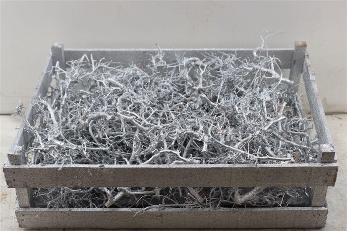 <h4>Bonsai Wood Silver P Crate</h4>