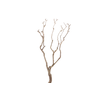 Syringa Branch Super Kessels
