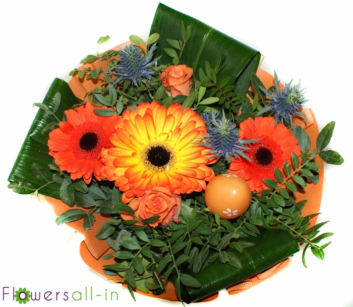 <h4>P2020332 Oranje</h4>