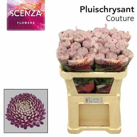 <h4>Chr G Couture</h4>