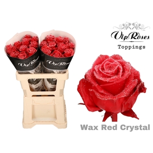 R GR WAX RED CRYSTAL (60CM)