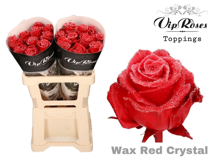 <h4>R GR WAX RED CRYSTAL (60CM)</h4>