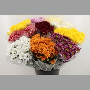Boeket Mono Chrysant Mix