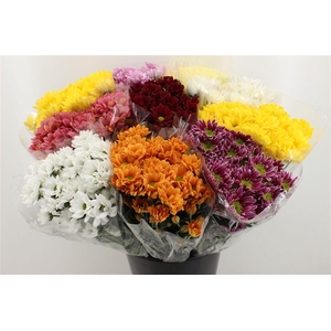 Boeket Mono Chrysant Mix