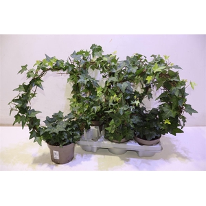 Hed He Ov Groen Mirror D30cm