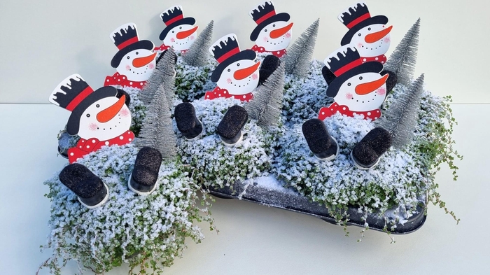 <h4>SOLEI SOL GROEN</h4>