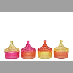 Bicolore Dutch Orange Mix Jars Ass 11x13cm Nm