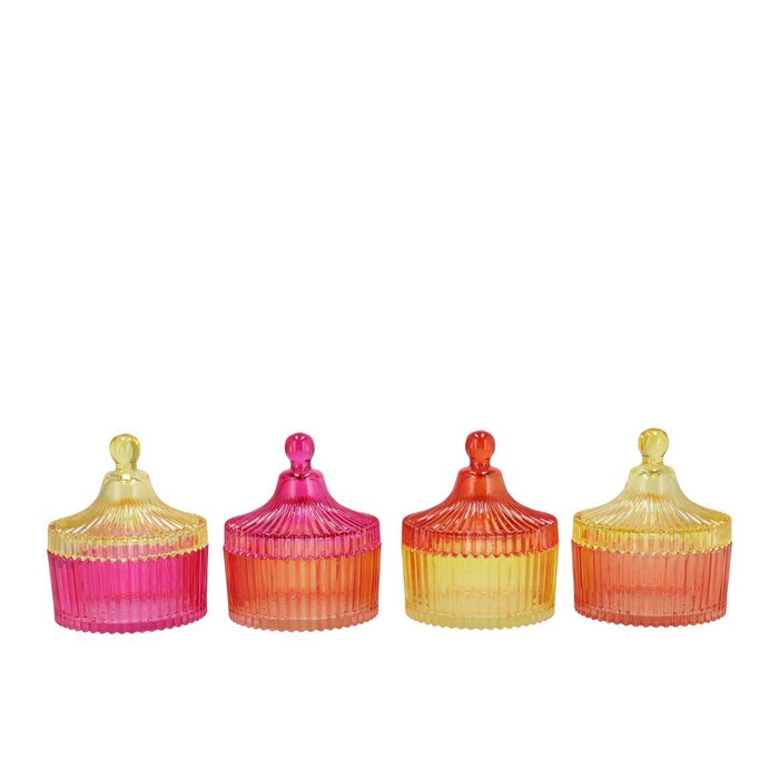 <h4>Bicolore Dutch Orange Mix Jars Ass 11x13cm Nm</h4>