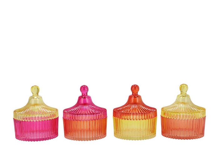 <h4>Bicolore Dutch Orange Mix Jars Ass 11x13cm</h4>