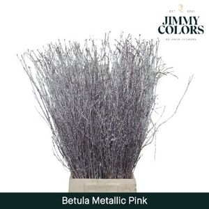 Betula L70 Mtlc. Pink