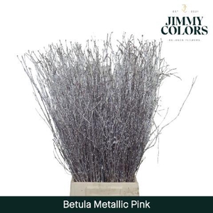 Betula L70 Mtlc. Pink