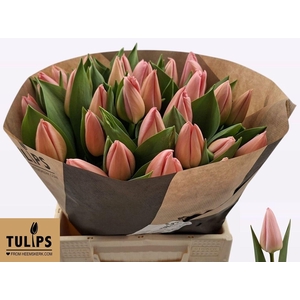 TU EN SALMON DESSERT