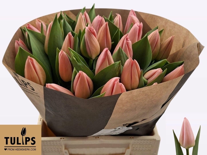 <h4>TU EN SALMON DESSERT</h4>